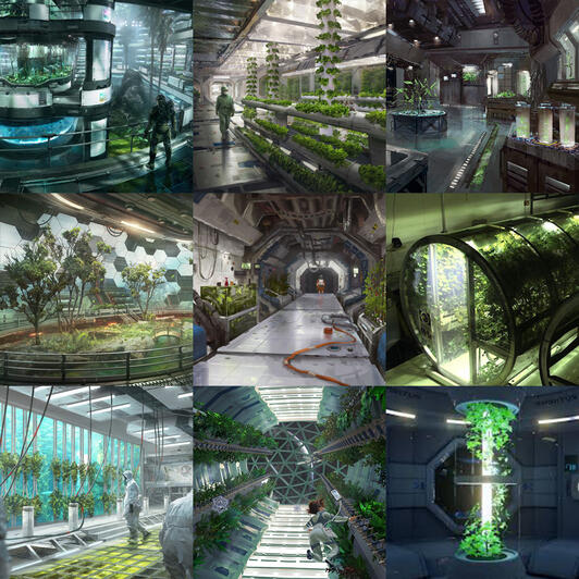 Biophilic Design Moodboard