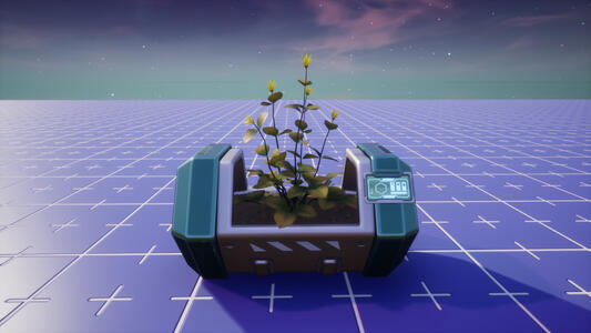 Potted Plant