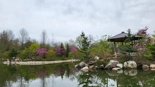Serenity